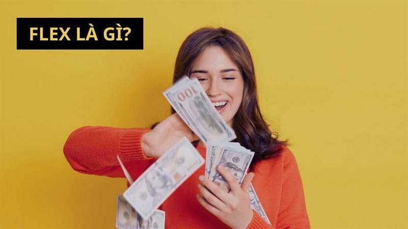 flex là gì
